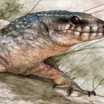 Hallan en la Patagonia un reptil de 70 millones de años y lo reconstruyen digitalmente