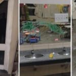 Furtivos pagaron un millón de pesos por infracciones y se destinaron a un jardín