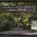 El pueblo a 1 hora de Buenos Aires con una reserva natural reconocida por la Unesco, arboledas y más de 280 especies de aves