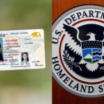 California compartirá los datos de las licencias de conducir de inmigrantes por la presión del DHS