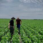 La soja perdió tres millones de hectáreas en la última década