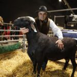 “Me fundo”: fuerte preocupación entre los productores de ovinos por los casos de scrapie y cuestionamientos al Senasa
