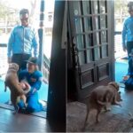 El reencuentro de la astronauta Christina Koch con su perrita tras la misión de Artemis II