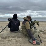 Hay menos de 1000: un inédito acuerdo de “convivencia” permitirá proteger a una de las aves más amenazadas