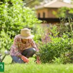 Plantar con intención: Cómo crear escenas y no colecciones de plantas