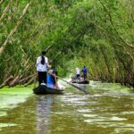 Viaje por el río Mekong: qué ver entre arrozales, manglares y pueblos tradicionales