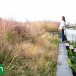 Desniveles a favor: Cómo convertir un terreno desparejo en una oportunidad de diseño