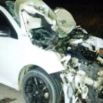 Un auto chocó contra un ternero en la Ruta 35 