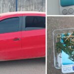 Robaron una planta de marihuana y los atraparon luego de una persecución