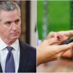 Licencia de conducir digital en California: Newsom amplía el programa móvil
