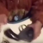 Detuvieron a una madre que grabó a su bebé jugando con un arma en La Plata: “¿Es para los giles?”
