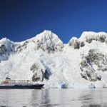Hantavirus en el crucero: en qué consiste la cepa Andes, la única que se contagia entre humanos y que ahora preocupa a la Argentina