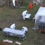 Incógnita e hipótesis: así se definió qué lugares inspeccionar en Ushuaia en busca del origen del brote de hantavirus