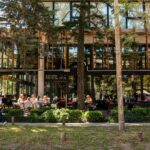 La zona con bosque propio, departamentos de lujo y buenas rentas a minutos de la Capital