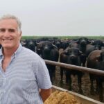 El modelo cordobés donde se “fabrica” carne desde el ternero a la carnicería