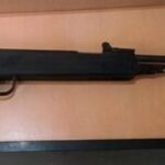 Discutieron por unos animales y un jubilado le disparó a su vecina con un aire comprimido