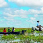 Portal Carambola, el acceso oculto para descubrir los Esteros del Iberá