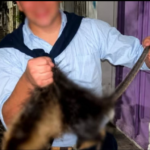 Crueldad animal en Bahía Blanca: imputaron a dos jóvenes que mataron a golpes a una nutria y filmaron la agresión