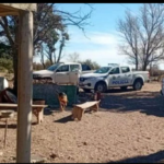 Tragedia en un campo pampeano: mató a su hermano, fue declarado inimputable y seguirá internado en un psiquiátrico por más de 10 años