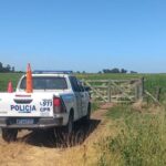 Le robaron 52 terneros valuados en unos US$50.000 y hay un dato que no logra explicar