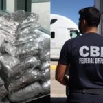 Intentaron entrar a California con miles de dólares ocultos en sus vehículos, pero los perros de la CBP los detectaron