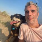“Si caminás hasta casa, te entro”: lo vio perdido en una esquina, le hizo una propuesta y se llevó una sorpresa con la respuesta del perro