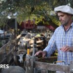 El emprendimiento familiar que se llevó el oro en el Concurso Nacional de Quesos