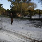 Mar del Plata amaneció nevada: la “bomba polar” dejó una postal atípica en la costa atlántica bonaerense