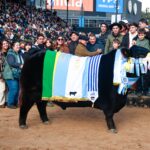 “Un gran padre”: Rip, el toro Angus inspirado en la serie Yellowstone, fue elegido Gran Campeón Macho en Palermo