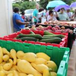 Dónde entregan comida gratis en Florida esta semana: calendario y bolsas de alimentos frescos hoy