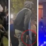 RIÑAS, ALCOHOL Y BOTELLAZOS: Las imágenes que muestran el nivel de violencia en los festejos en General Pico
