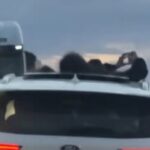 IMPRUDENCIA EN RUTA 152: tres menores viajaban asomados por el techo de una camioneta-Video