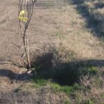 Amenazan con ir a la Justicia: ultimátum de productores a un municipio por la “grave e insostenible situación” de los caminos rurales