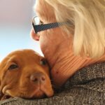 Los expertos en psicología confirman: tener una mascota reduce la percepción del dolor físico y emocional