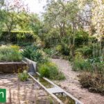 Jardines esponja: cómo diseñar jardines que absorban lluvias intensas