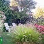 Efecto bosque: cómo hacer que un jardín chico se sienta inmenso