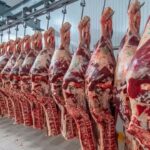 Estados Unidos retiró casi 13.600 kilos de carne argentina etiquetada bajo la marca del Frigorífico Gorina SAIC
